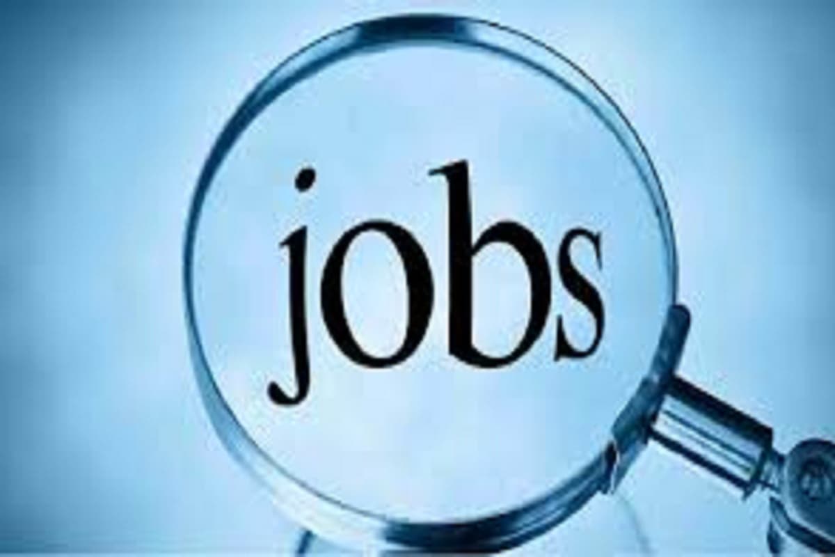 Job (Photo Patrika)