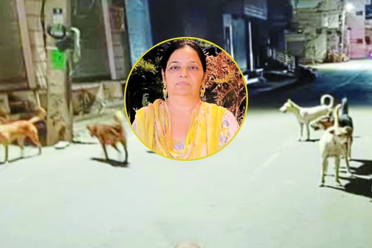 hanumangarh news
